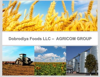 Dobrodiya Foods LLC – AGRICOM GROUP
 