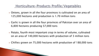  Onions, grown in all the four provinces is cultivated on an area of
125,000 hectares and production is 1.70 million tons
 Garlic is grown in all the four provinces of Pakistan over an area of
6,800 hectares producing 57,000 tons
 Potato, fourth most important crop in terms of volume, cultivated
on an area of 140,000 hectares with production of 3 million tons
 Chillies grown on 75,000 hectares with production of 188,000 tons
 