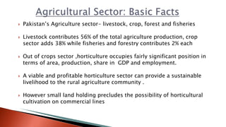  Pakistan’s Agriculture sector- livestock, crop, forest and fisheries
 Livestock contributes 56% of the total agriculture production, crop
sector adds 38% while fisheries and forestry contributes 2% each
 Out of crops sector ,horticulture occupies fairly significant position in
terms of area, production, share in GDP and employment.
 A viable and profitable horticulture sector can provide a sustainable
livelihood to the rural agriculture community .
 However small land holding precludes the possibility of horticultural
cultivation on commercial lines
 