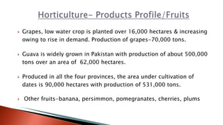  Grapes, low water crop is planted over 16,000 hectares & increasing
owing to rise in demand. Production of grapes-70,000 tons.
 Guava is widely grown in Pakistan with production of about 500,000
tons over an area of 62,000 hectares.
 Produced in all the four provinces, the area under cultivation of
dates is 90,000 hectares with production of 531,000 tons.
 Other fruits-banana, persimmon, pomegranates, cherries, plums
 