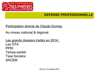 DEFENSE PROFESSIONNELLE 
Participation directe de Claude Dumas 
Au niveau national & régional 
Les grands dossiers traités en 2014 : 
Les OTA 
PPRI 
Temps-partiel 
Taxe foncière 
SACEM 
AG du 13 octobre 2014 
 
