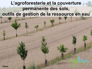 L’agroforesterie et la couverture
permanente des sols,
outils de gestion de la ressource en eau
©Amat
 