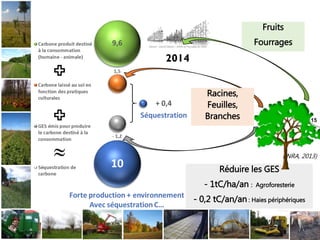 Fruits
Fourrages
Réduire les GES
- 1tC/ha/an : Agroforesterie
- 0,2 tC/an/an : Haies périphériques
(INRA, 2013)
Racines,
F...