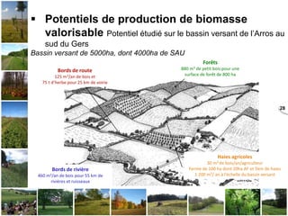 28
 Potentiels de production de biomasse
valorisable Potentiel étudié sur le bassin versant de l’Arros au
sud du Gers
Bas...