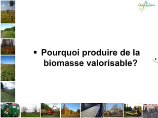  Pourquoi produire de la
biomasse valorisable?
8
 