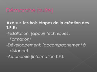 Axé sur les trois étapes de la création des
T.P.E :
-Installation: (appuis techniques ,
  Formation)
-Développement: (accompagnement à
  distance)
-Autonomie (Information T.E.).
 