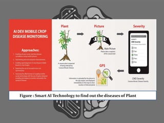 Figure : Smart AI Technology to find out the diseases of Plant
 