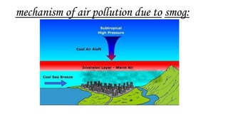 mechanism of air pollution due to smog:
 