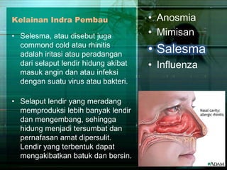 Kelainan Indra Pembau
• Selesma, atau disebut juga
commond cold atau rhinitis
adalah iritasi atau peradangan
dari selaput lendir hidung akibat
masuk angin dan atau infeksi
dengan suatu virus atau bakteri.
• Selaput lendir yang meradang
memproduksi lebih banyak lendir
dan mengembang, sehingga
hidung menjadi tersumbat dan
pernafasan amat dipersulit.
Lendir yang terbentuk dapat
mengakibatkan batuk dan bersin.

• Anosmia
• Mimisan

• Salesma
• Influenza

 