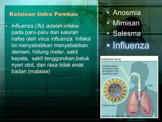 Kelainan Indra Pembau
• Influenza (flu) adalah infeksi
pada paru-paru dan saluran
nafas oleh virus influenza. Infeksi
ini menyebabkan menyebabkan
demam, hidung meler, sakit
kepala, sakit tenggorokan,batuk
nyeri otot, dan rasa tidak enak
badan (malaise)

• Anosmia
• Mimisan
• Salesma

• Influenza

 