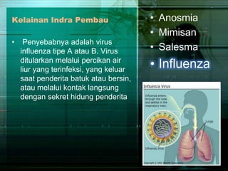 Kelainan Indra Pembau
•

Penyebabnya adalah virus
influenza tipe A atau B. Virus
ditularkan melalui percikan air
liur yang terinfeksi, yang keluar
saat penderita batuk atau bersin,
atau melalui kontak langsung
dengan sekret hidung penderita

• Anosmia
• Mimisan
• Salesma

• Influenza

 