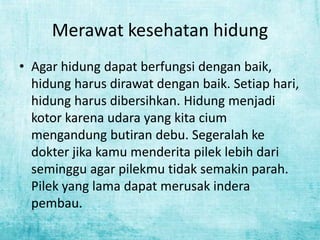 Merawat kesehatan hidung
• Agar hidung dapat berfungsi dengan baik,
hidung harus dirawat dengan baik. Setiap hari,
hidung harus dibersihkan. Hidung menjadi
kotor karena udara yang kita cium
mengandung butiran debu. Segeralah ke
dokter jika kamu menderita pilek lebih dari
seminggu agar pilekmu tidak semakin parah.
Pilek yang lama dapat merusak indera
pembau.

 
