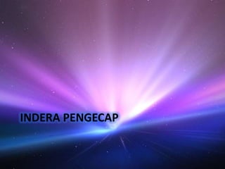 INDERA PENGECAP

 