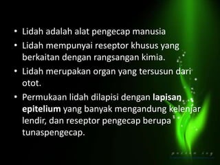 • Lidah adalah alat pengecap manusia
• Lidah mempunyai reseptor khusus yang
berkaitan dengan rangsangan kimia.
• Lidah merupakan organ yang tersusun dari
otot.
• Permukaan lidah dilapisi dengan lapisan
epitelium yang banyak mengandung kelenjar
lendir, dan reseptor pengecap berupa
tunaspengecap.

 