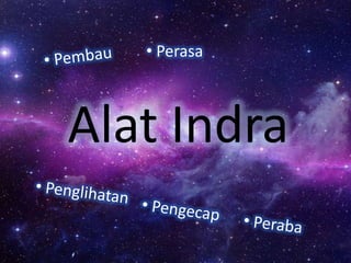 • Perasa

Alat Indra

 