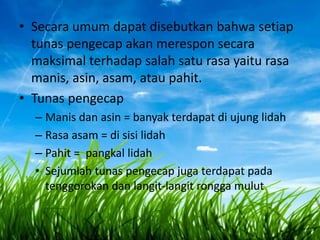 • Secara umum dapat disebutkan bahwa setiap
tunas pengecap akan merespon secara
maksimal terhadap salah satu rasa yaitu rasa
manis, asin, asam, atau pahit.
• Tunas pengecap
– Manis dan asin = banyak terdapat di ujung lidah
– Rasa asam = di sisi lidah
– Pahit = pangkal lidah
• Sejumlah tunas pengecap juga terdapat pada
tenggorokan dan langit-langit rongga mulut

 