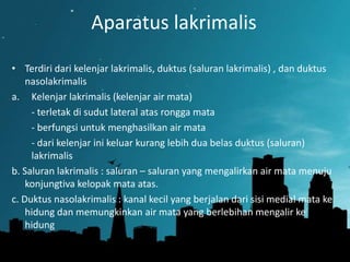 Aparatus lakrimalis
• Terdiri dari kelenjar lakrimalis, duktus (saluran lakrimalis) , dan duktus
nasolakrimalis
a. Kelenjar lakrimalis (kelenjar air mata)
- terletak di sudut lateral atas rongga mata
- berfungsi untuk menghasilkan air mata
- dari kelenjar ini keluar kurang lebih dua belas duktus (saluran)
lakrimalis
b. Saluran lakrimalis : saluran – saluran yang mengalirkan air mata menuju
konjungtiva kelopak mata atas.
c. Duktus nasolakrimalis : kanal kecil yang berjalan dari sisi medial mata ke
hidung dan memungkinkan air mata yang berlebihan mengalir ke
hidung

 