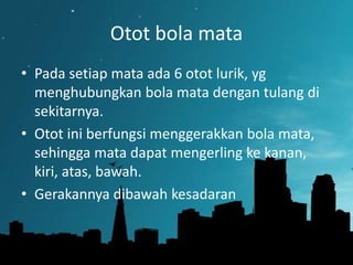 Otot bola mata
• Pada setiap mata ada 6 otot lurik, yg
menghubungkan bola mata dengan tulang di
sekitarnya.
• Otot ini berfungsi menggerakkan bola mata,
sehingga mata dapat mengerling ke kanan,
kiri, atas, bawah.
• Gerakannya dibawah kesadaran

 