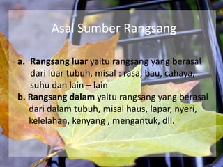 Asal Sumber Rangsang
a. Rangsang luar yaitu rangsang yang berasal
dari luar tubuh, misal : rasa, bau, cahaya,
suhu dan lain – lain
b. Rangsang dalam yaitu rangsang yang berasal
dari dalam tubuh, misal haus, lapar, nyeri,
kelelahan, kenyang , mengantuk, dll.

 