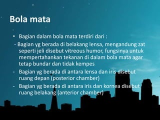 Bola mata
• Bagian dalam bola mata terdiri dari :
- Bagian yg berada di belakang lensa, mengandung zat
seperti jeli disebut vitreous humor, fungsinya untuk
mempertahankan tekanan di dalam bola mata agar
tetap bundar dan tidak kempes
- Bagian yg berada di antara lensa dan iris disebut
ruang depan (posterior chamber)
- Bagian yg berada di antara iris dan kornea disebut
ruang belakang (anterior chamber)

 
