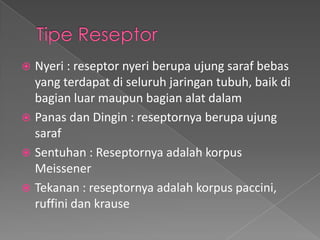 Nyeri : reseptor nyeri berupa ujung saraf bebas
yang terdapat di seluruh jaringan tubuh, baik di
bagian luar maupun bagian alat dalam
 Panas dan Dingin : reseptornya berupa ujung
saraf
 Sentuhan : Reseptornya adalah korpus
Meissener
 Tekanan : reseptornya adalah korpus paccini,
ruffini dan krause


 