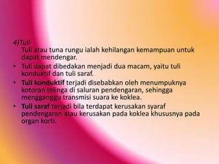 4)Tuli
Tuli atau tuna rungu ialah kehilangan kemampuan untuk
dapat mendengar.
• Tuli dapat dibedakan menjadi dua macam, yaitu tuli
konduktif dan tuli saraf.
• Tuli konduktif terjadi disebabkan oleh menumpuknya
kotoran telinga di saluran pendengaran, sehingga
mengganggu transmisi suara ke koklea.
• Tuli saraf terjadi bila terdapat kerusakan syaraf
pendengaran atau kerusakan pada koklea khususnya pada
organ korti.

 
