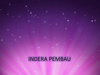 INDERA PEMBAU

 