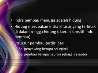 • Indra pembau manusia adalah hidung
• Hidung merupakan indra khusus yang terletak
di dalam rongga hidung (daerah sensitif indra
pembau)
• Struktur pembau terdiri dari
– Sel penyokong berupa sel epitel
– Sel pembau berupa neuron sebagai reseptor

 
