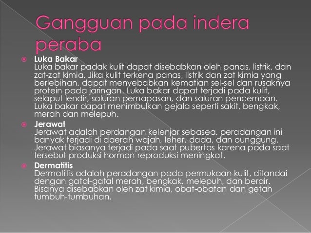 Presentasi alat indera