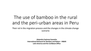 The use of bamboo in the rural
and the peri-urban areas in Peru
Their rol in the migration process and the changes in the climate change
scenario
Alejandro Espinoza Saavedra
International Network for Bamboo and Rattan – INBAR
Latin America and the Caribbean Office
 