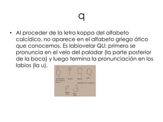 q
• Al proceder de la letra koppa del alfabeto
  calcídico, no aparece en el alfabeto griego ático
  que conocemos. Es labiovelar QU: primero se
  pronuncia en el velo del paladar (la parte posterior
  de la boca) y luego termina la pronunciación en los
  labios (la u).
 