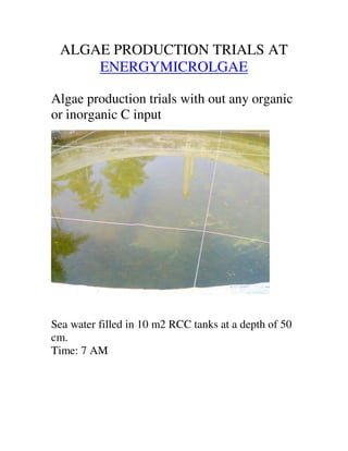 ALGAE PRODUCTION TRIALS AT
     ENERGYMICROLGAE

Algae production trials with out any organic
or inorganic C input




Sea water filled in 10 m2 RCC tanks at a depth of 50
cm.
Time: 7 AM
 