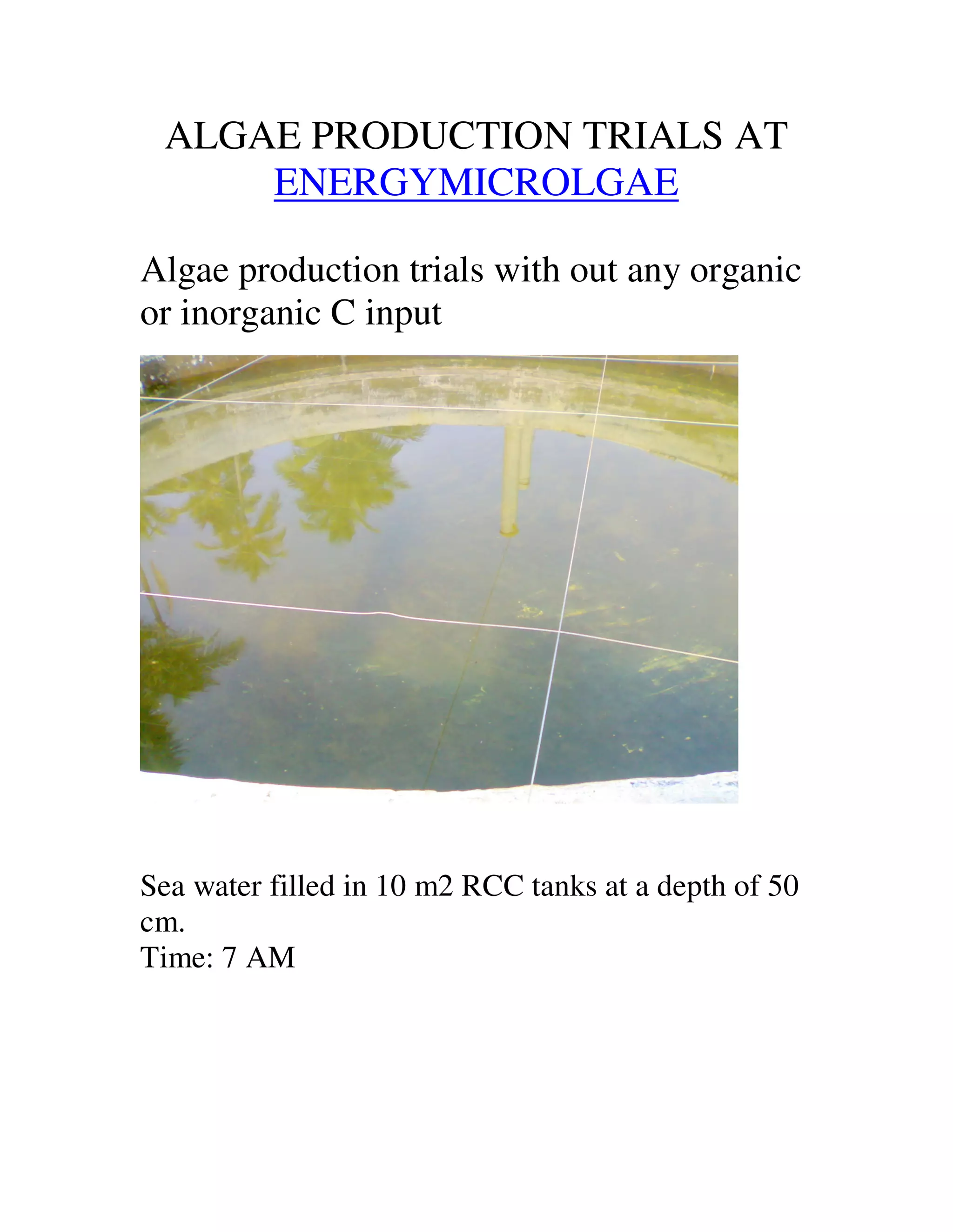 Photo inspiration: Low Cost Algae Biomass Production Photo Inspiration