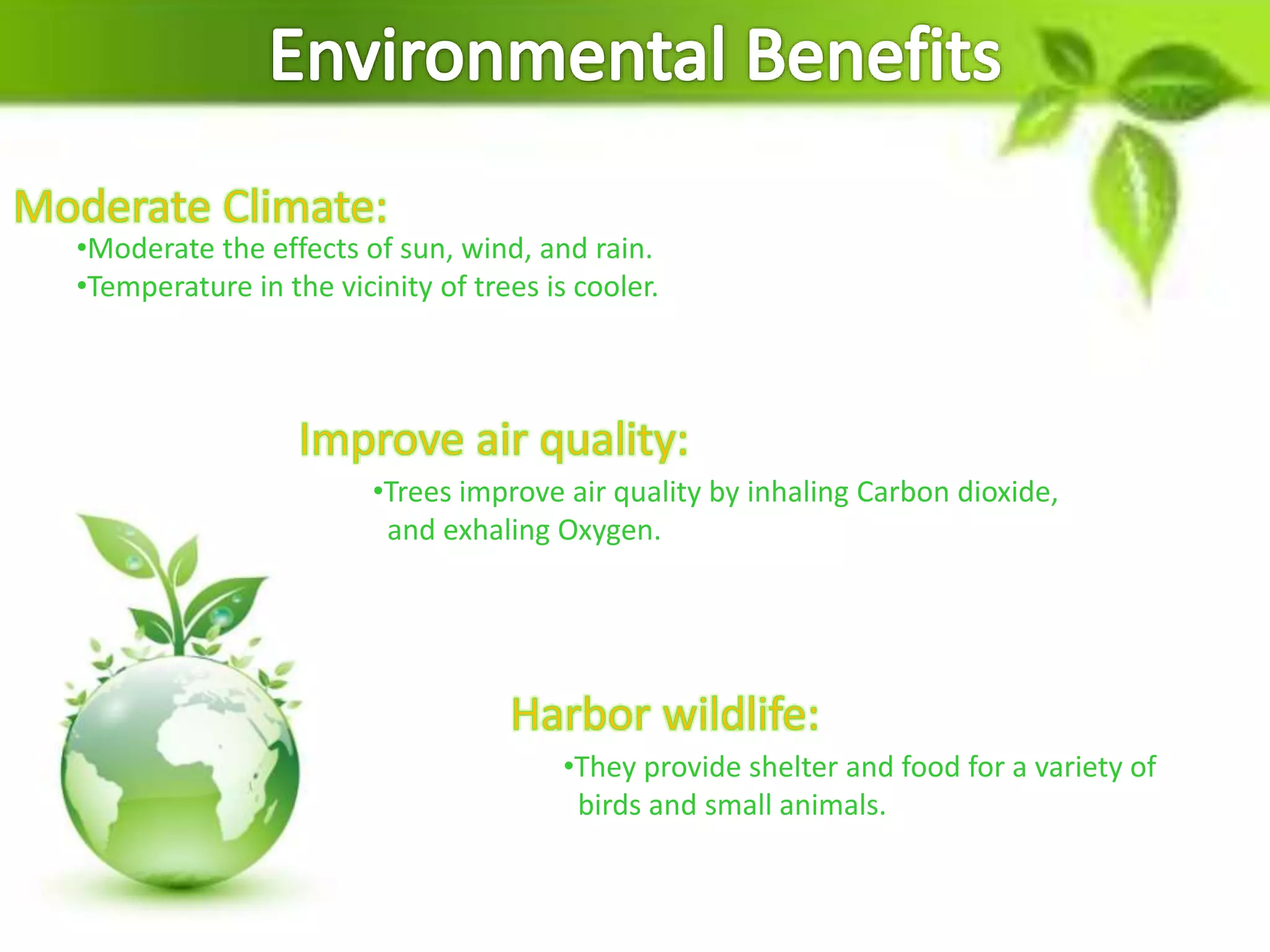 Importance of Trees PPT