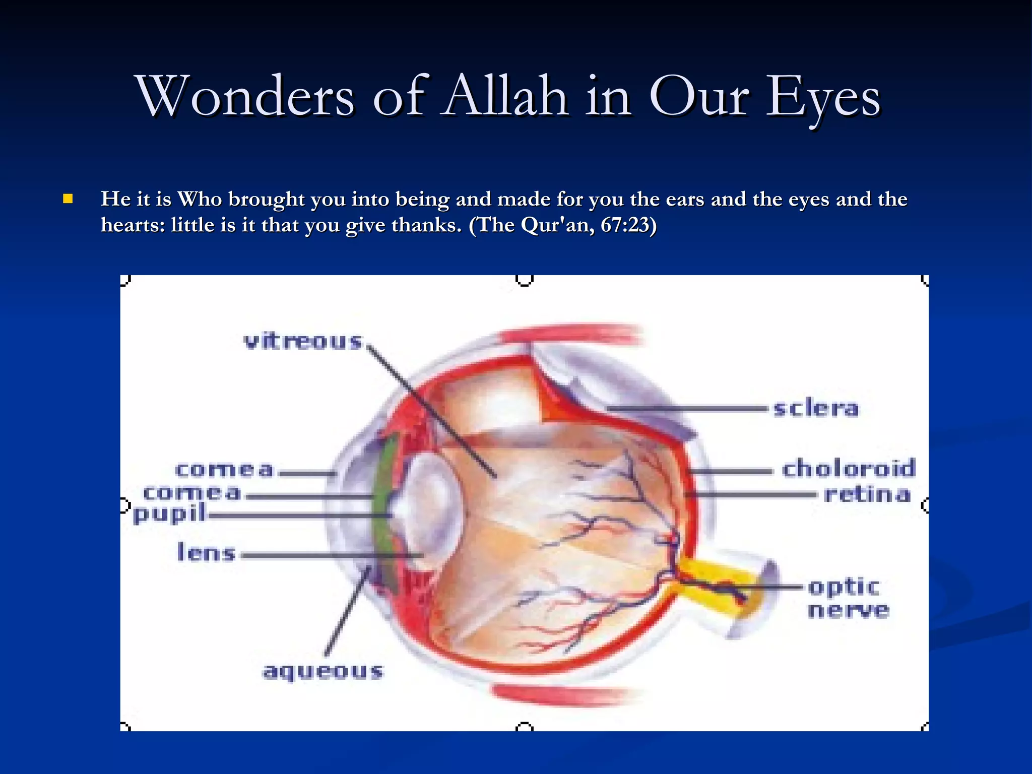 Ear Allah Presentation allah | PPT