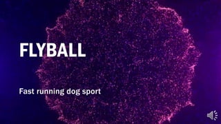 FLYBALL
Fast running dog sport
 
