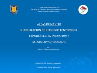 Universidad de Concepción Facultad de Ciencias Naturales y Oceanográficas Departamento de Pesquerías ÁREAS DE MANEJO Y EXPLOTACIÓN DE RECURSOS BENTÓNICOS  EXPERIENCIAS EN OPERACIÓN Y ALTERNATIVAS PARALELAS   Profesor Tutor: Ricardo Galleguillos Profesor Guía: Isabel Navarrete por Mauricio Mardones Inostroza 