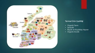 Tarımsal Ürün Çeşitliliği
• Organik Tarım
• Seracılık
• Büyük ve Küçükbaş Hayvan
• Organik Arıcılık
 
