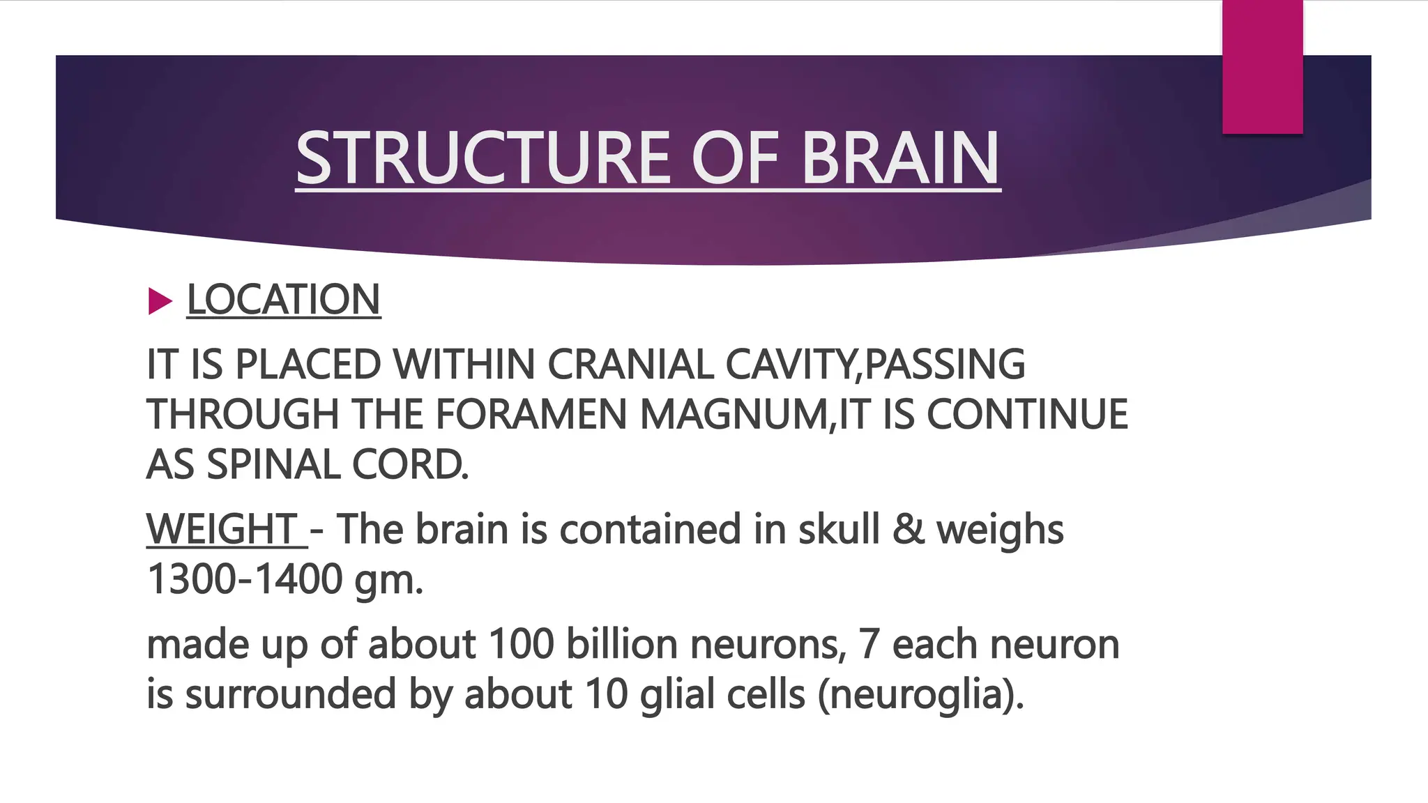 BRAIN BASIC INFORMATION visual data 3