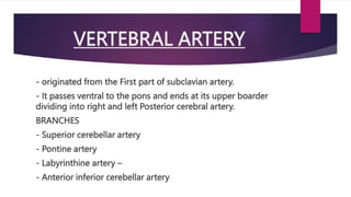 VERTEBRAL ARTERY
- originated from the First part of subclavian artery.
- It passes ventral to the pons and ends at its upper boarder
dividing into right and left Posterior cerebral artery.
BRANCHES
- Superior cerebellar artery
- Pontine artery
- Labyrinthine artery –
- Anterior inferior cerebellar artery
 