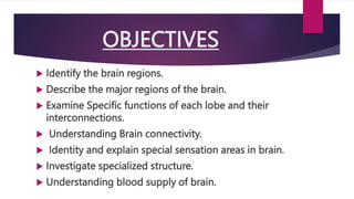 OBJECTIVES
 Identify the brain regions.
 Describe the major regions of the brain.
 Examine Specific functions of each lobe and their
interconnections.
 Understanding Brain connectivity.
 Identity and explain special sensation areas in brain.
 Investigate specialized structure.
 Understanding blood supply of brain.
 