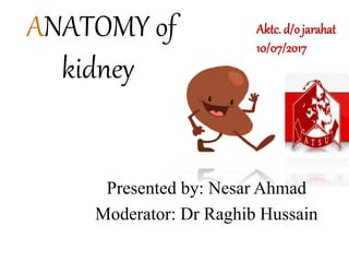 Presented by: Nesar Ahmad
Moderator: Dr Raghib Hussain
Aktc. d/o jarahat
10/07/2017
ANATOMY of
kidney
 