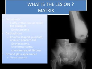 WHAT IS THE LESION ?
MATRIX
• Osteoblastic
– Fluffy, cotton-like or cloud-
like densities
Osteosarcoma
• Cartilaginous
– Comma-shaped, punctate,
annular, popcorn-like
Enchondroma,
chondrosarcoma,
chondromyxoid fibroma
• Ground glass appearance
– Fibrous dysplasia
 