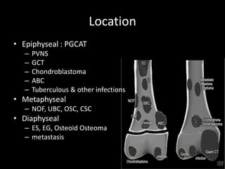 Location
• Epiphyseal : PGCAT
– PVNS
– GCT
– Chondroblastoma
– ABC
– Tuberculous & other infections
• Metaphyseal
– NOF, UBC, OSC, CSC
• Diaphyseal
– ES, EG, Osteoid Osteoma
– metastasis
 
