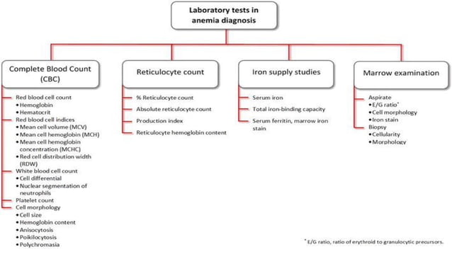 ANEMIA IN CHRONIC KIDNEY DISEASE,NEPHROLOGY | PDF