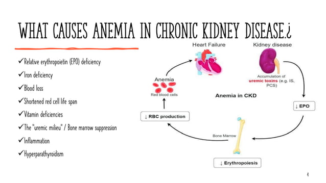 ANEMIA IN CHRONIC KIDNEY DISEASE,NEPHROLOGY | PDF