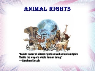 AnimAl rights

“I am in favour of animal rights as well as human rights.
That is the way of a whole human being.”
― Abraham Lincoln

 