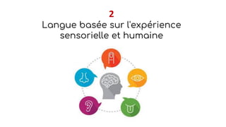 2
Langue basée sur l'expérience
sensorielle et humaine
 