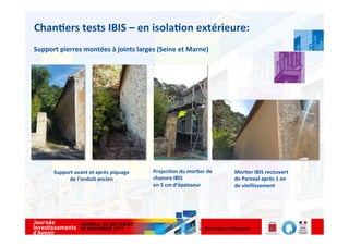 Présentation Anne Daubresse parex lanko - projets mortiers bio-sourcés ...