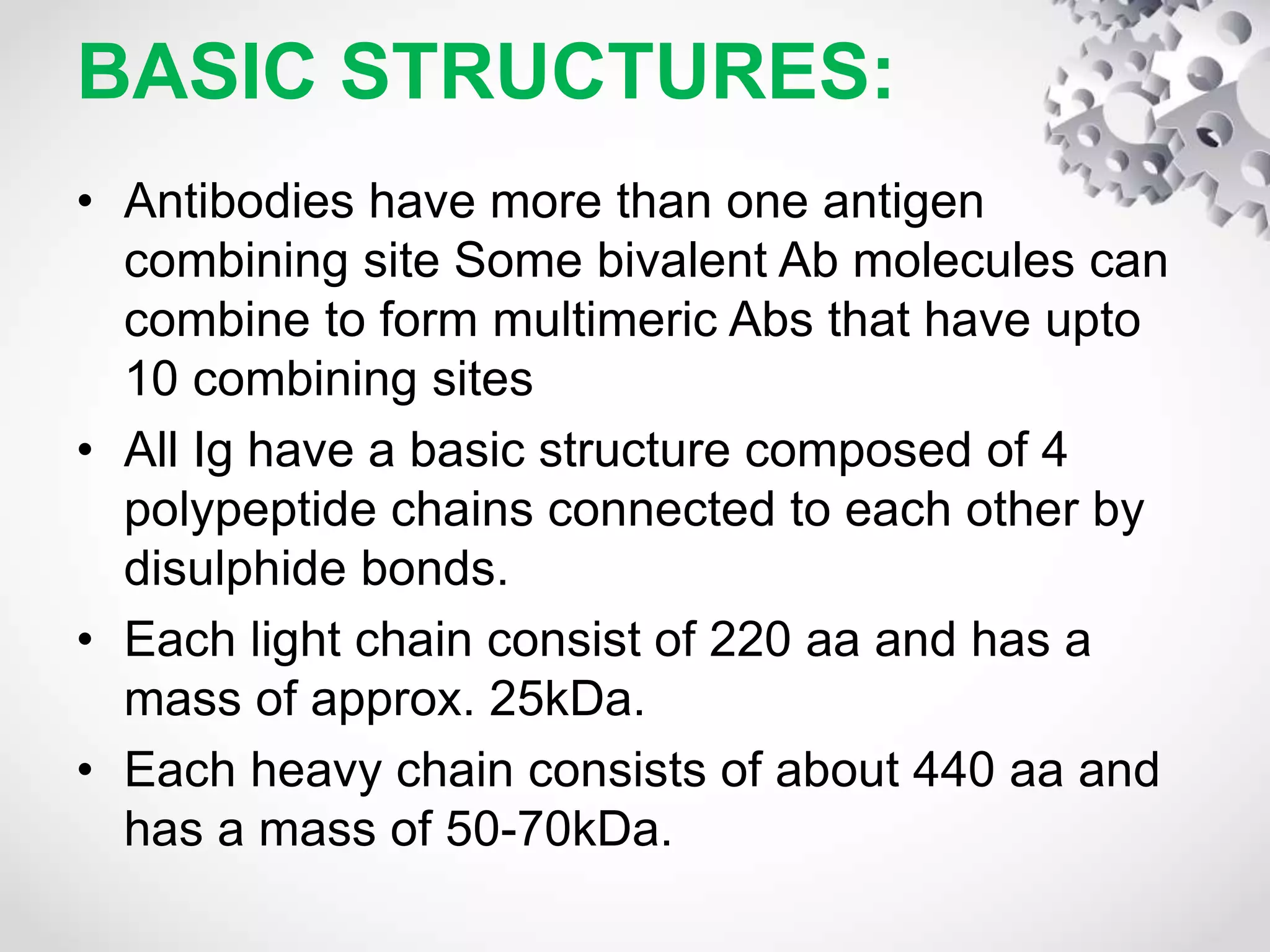 BASIC STRUCTURES:
• Antibodies have more than one antigen
combining site Some bivalent Ab molecules can
combine to form multimeric Abs that have upto
10 combining sites
• All Ig have a basic structure composed of 4
polypeptide chains connected to each other by
disulphide bonds.
• Each light chain consist of 220 aa and has a
mass of approx. 25kDa.
• Each heavy chain consists of about 440 aa and
has a mass of 50-70kDa.
 